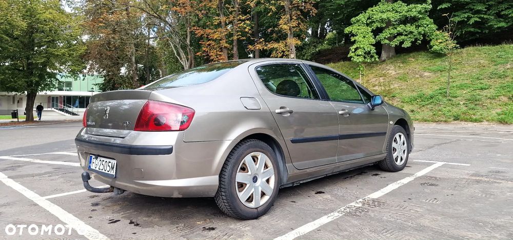 Peugeot 407 - 23