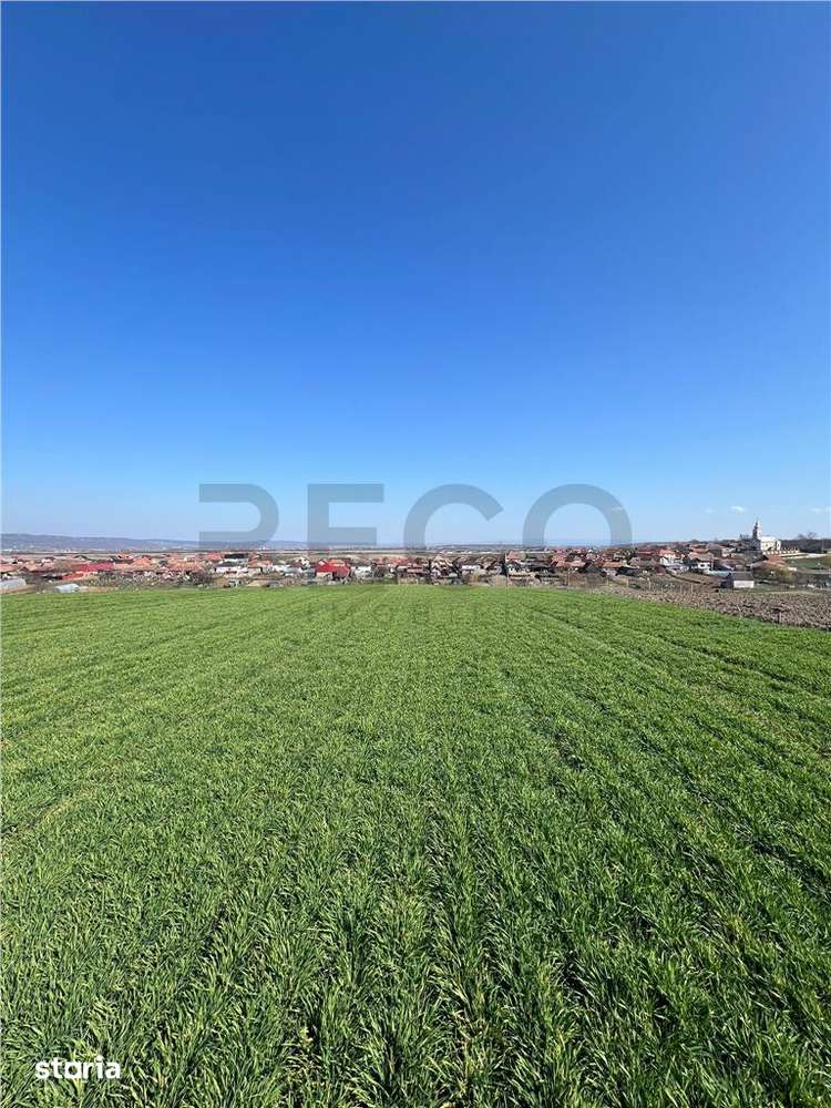RECO Teren extravilan, zona Cheriu, 5375 mp, utilitati in zona, cu pos - Imagine principală: 2/8