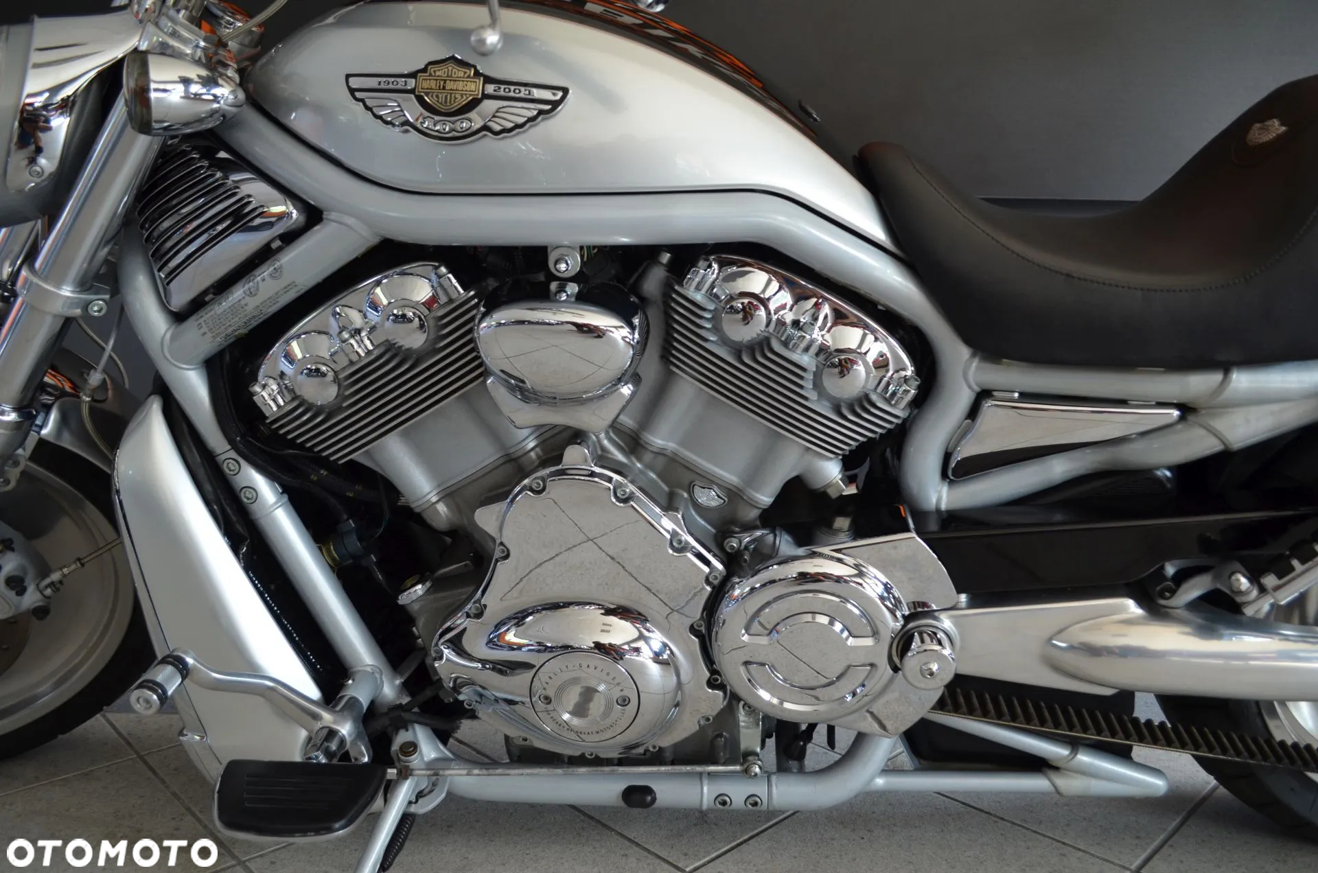Harley-Davidson Softail V-Rod - 23