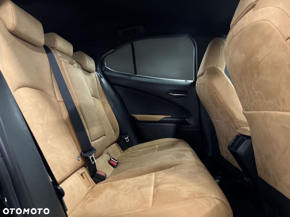 Lexus UX 250h GPF Business 2WD - 12