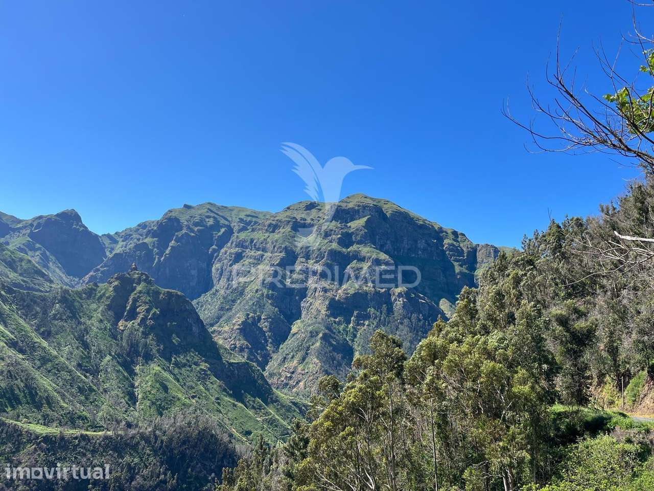 Terreno de Sonho na Serra de Água – 3.000 m² com 2 palheiros de Nat... - Grande imagem: 4/8