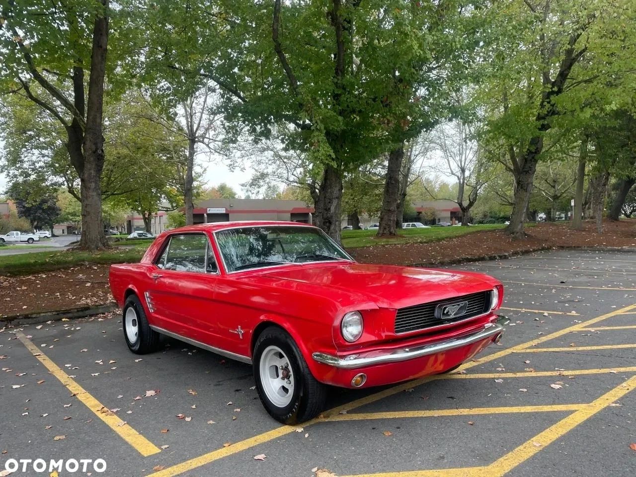 Ford Mustang - 1