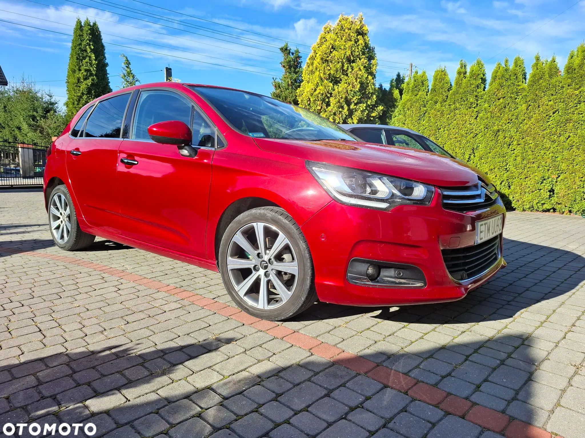 Citroën C4 1.6 BlueHDi Shine S&S - 1