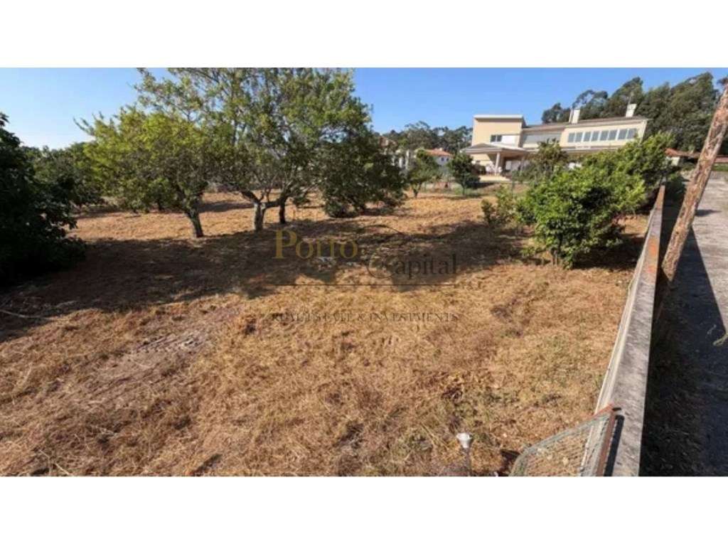 Terreno Urbano com 910 m² para Construção de Moradias em Grijó, Vil... - Grande imagem: 2/20