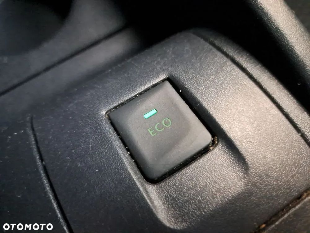 Renault Kangoo - 19