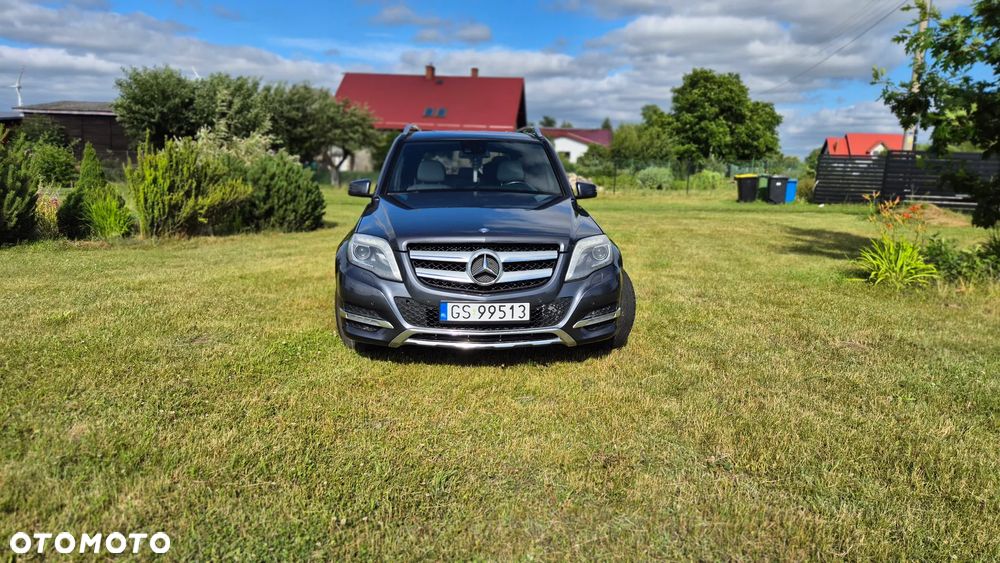 Mercedes-Benz GLK 220 CDI BlueEff 4-Matic - 2
