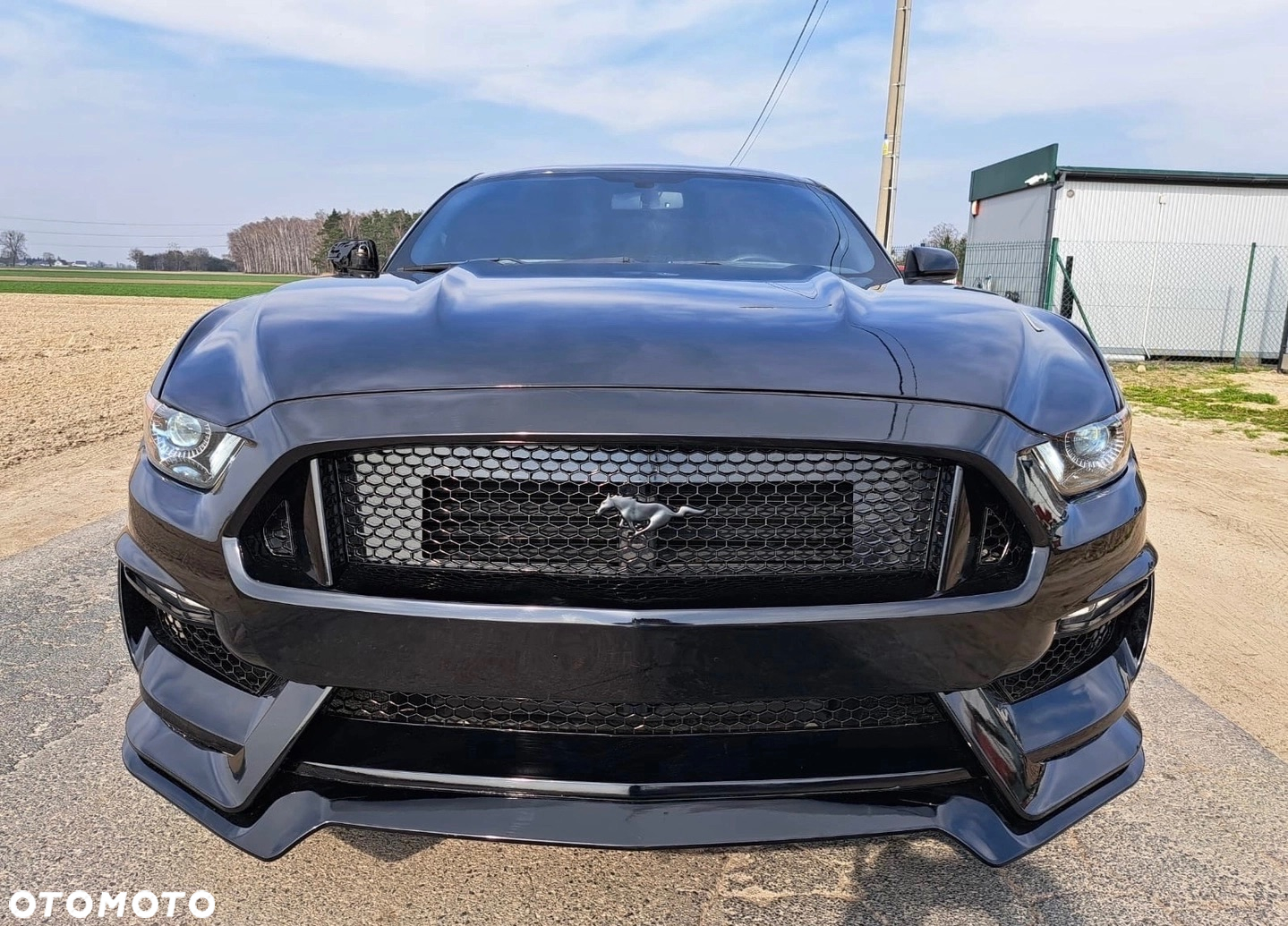 Ford Mustang 2.3 EcoBoost - 5