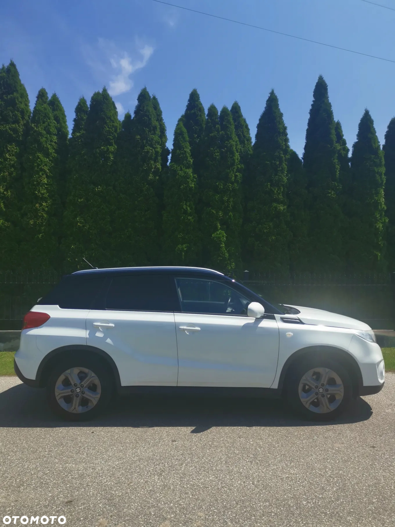 Suzuki Vitara - 14