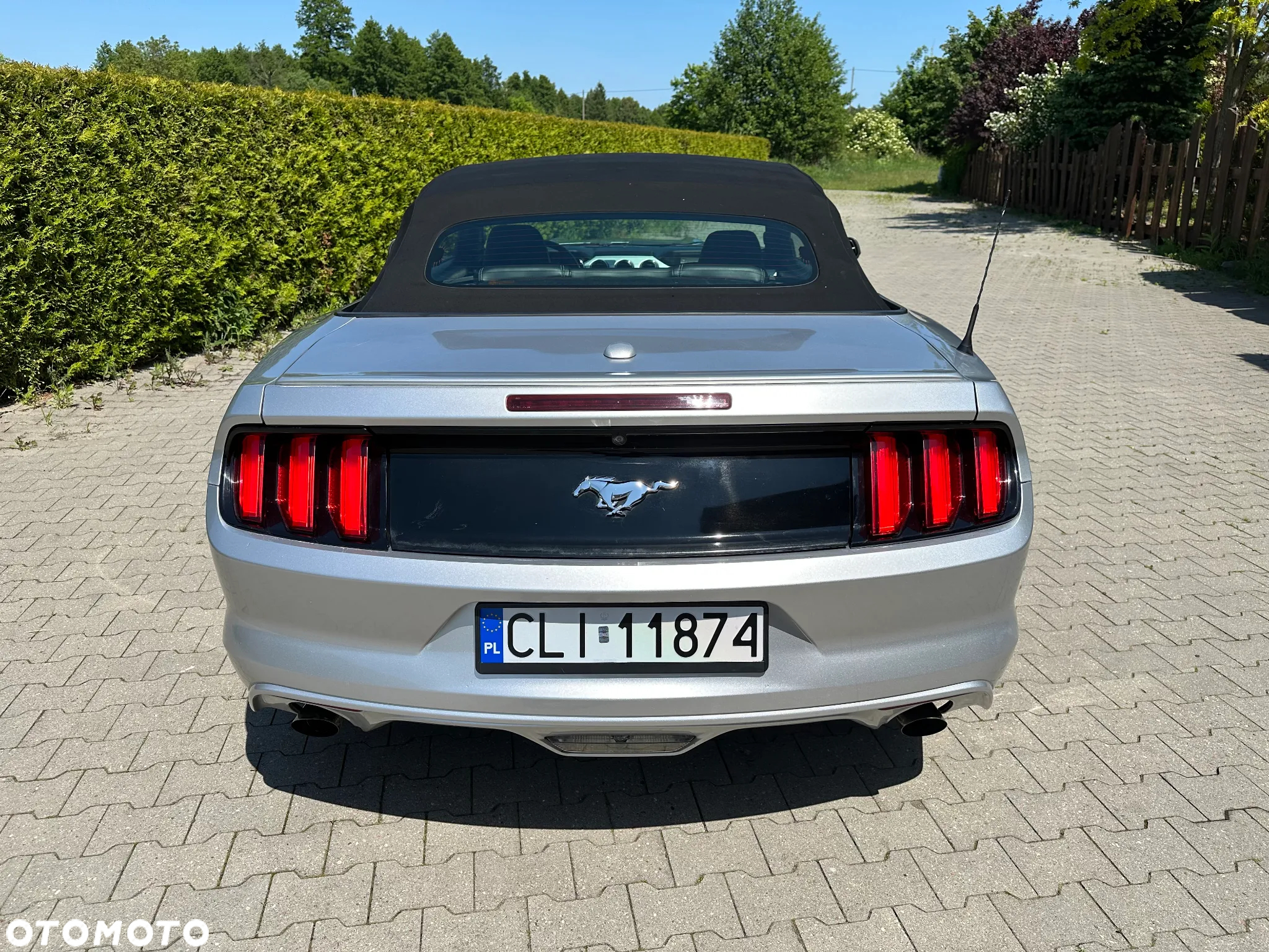 Ford Mustang Cabrio 2.3 Eco Boost - 31