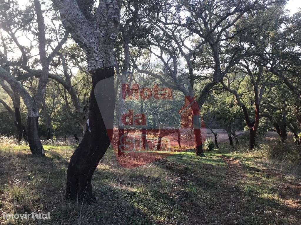 Magnífico Terreno em São Francisco da Serra - Grande imagem: 5/8