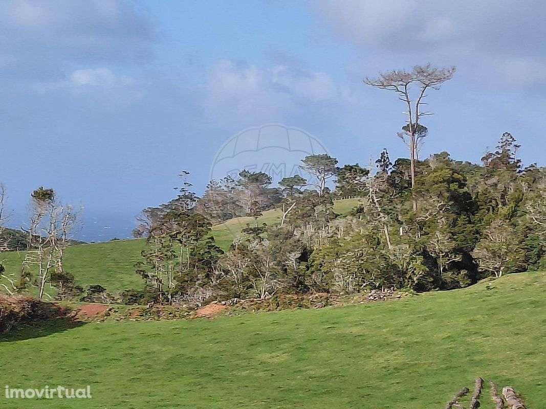 Moradia T1 para venda - Grande imagem: 2/3