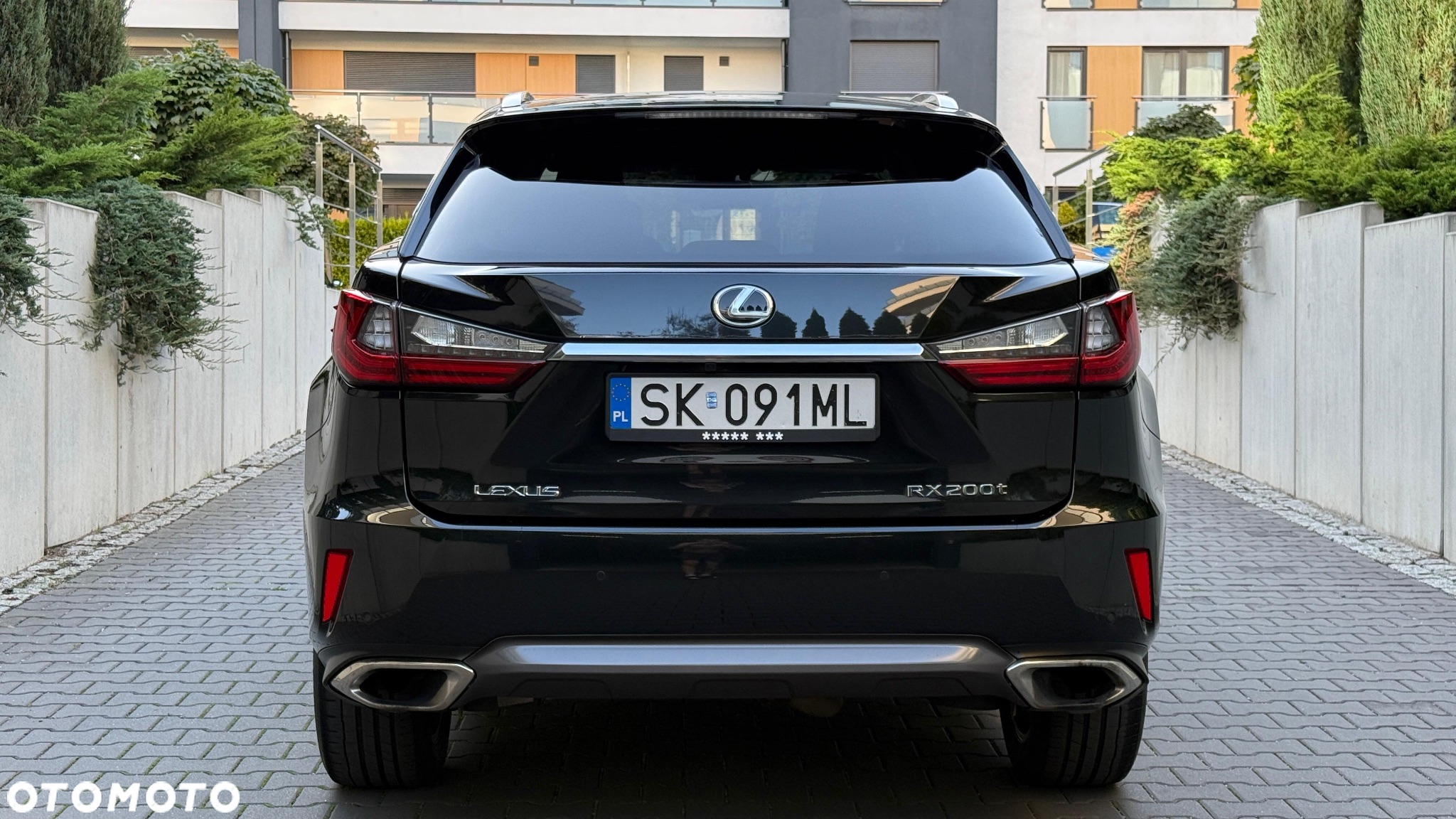Lexus RX 200t / 300 Elegance - 13