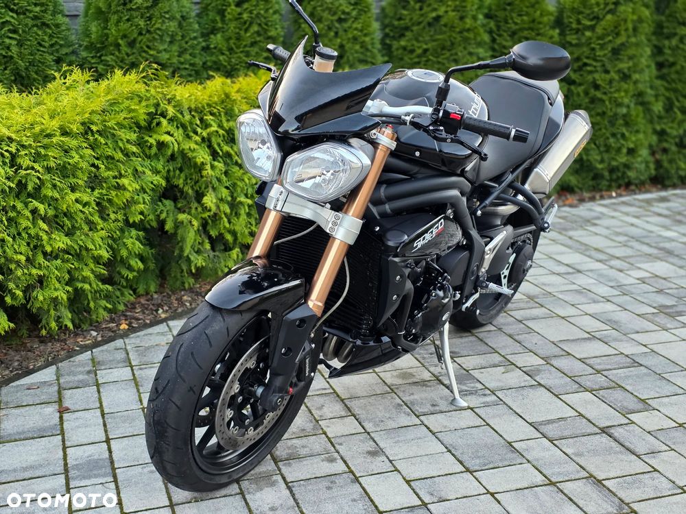 Triumph Speed Triple - 19