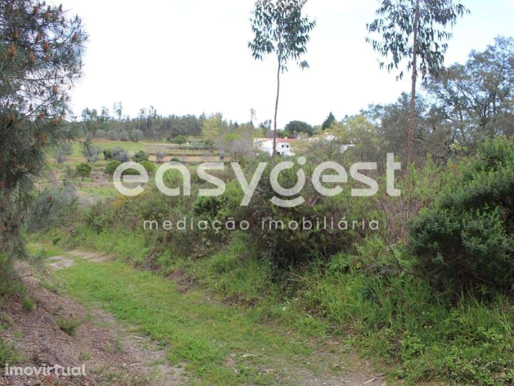 Terreno localizado nas Olalhas na Rota dos Trilhos das Cascatas - Grande imagem: 3/22