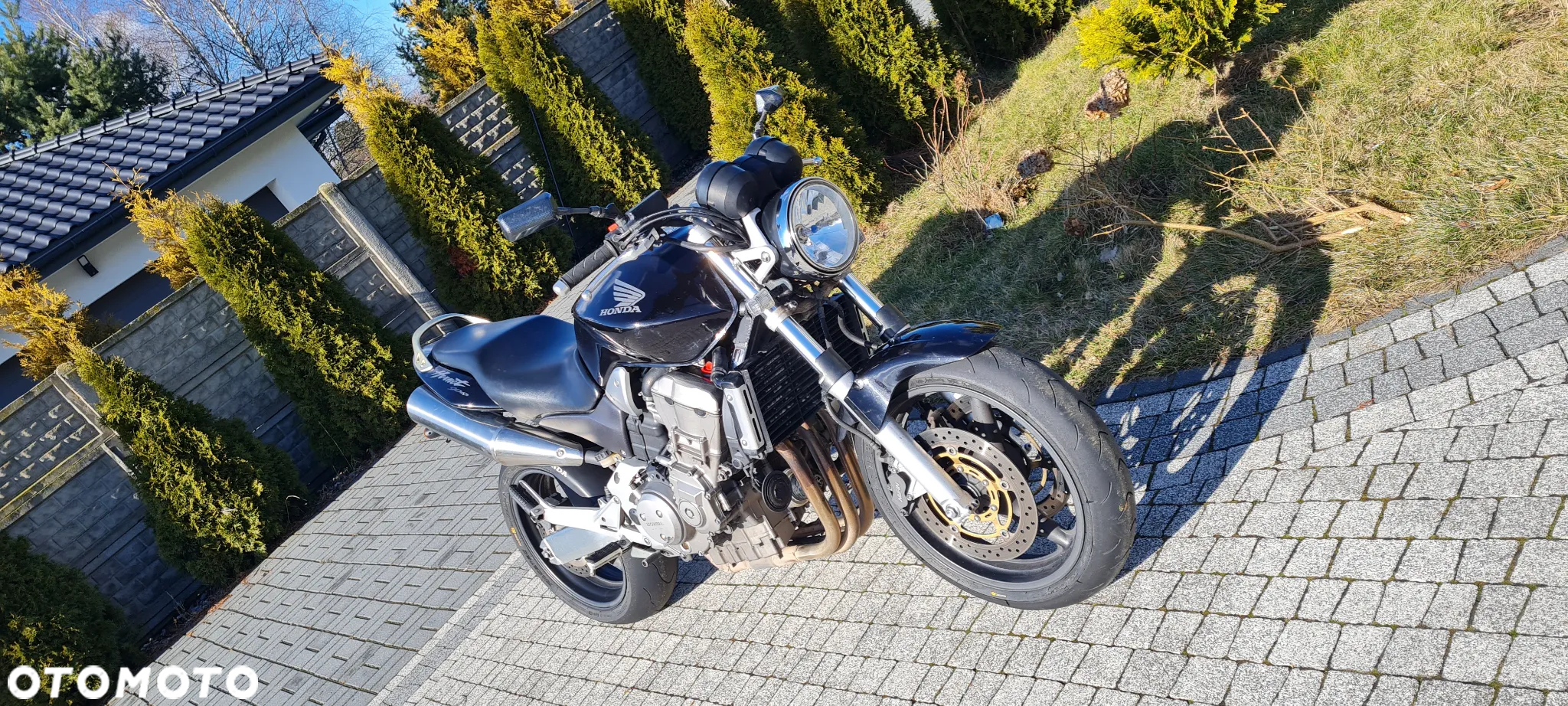 Honda Hornet - 4