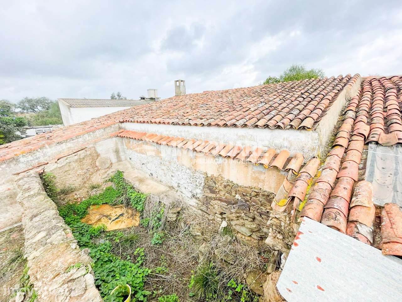 Quintinha T3 Venda em Santana da Serra,Ourique - Grande imagem: 4/19