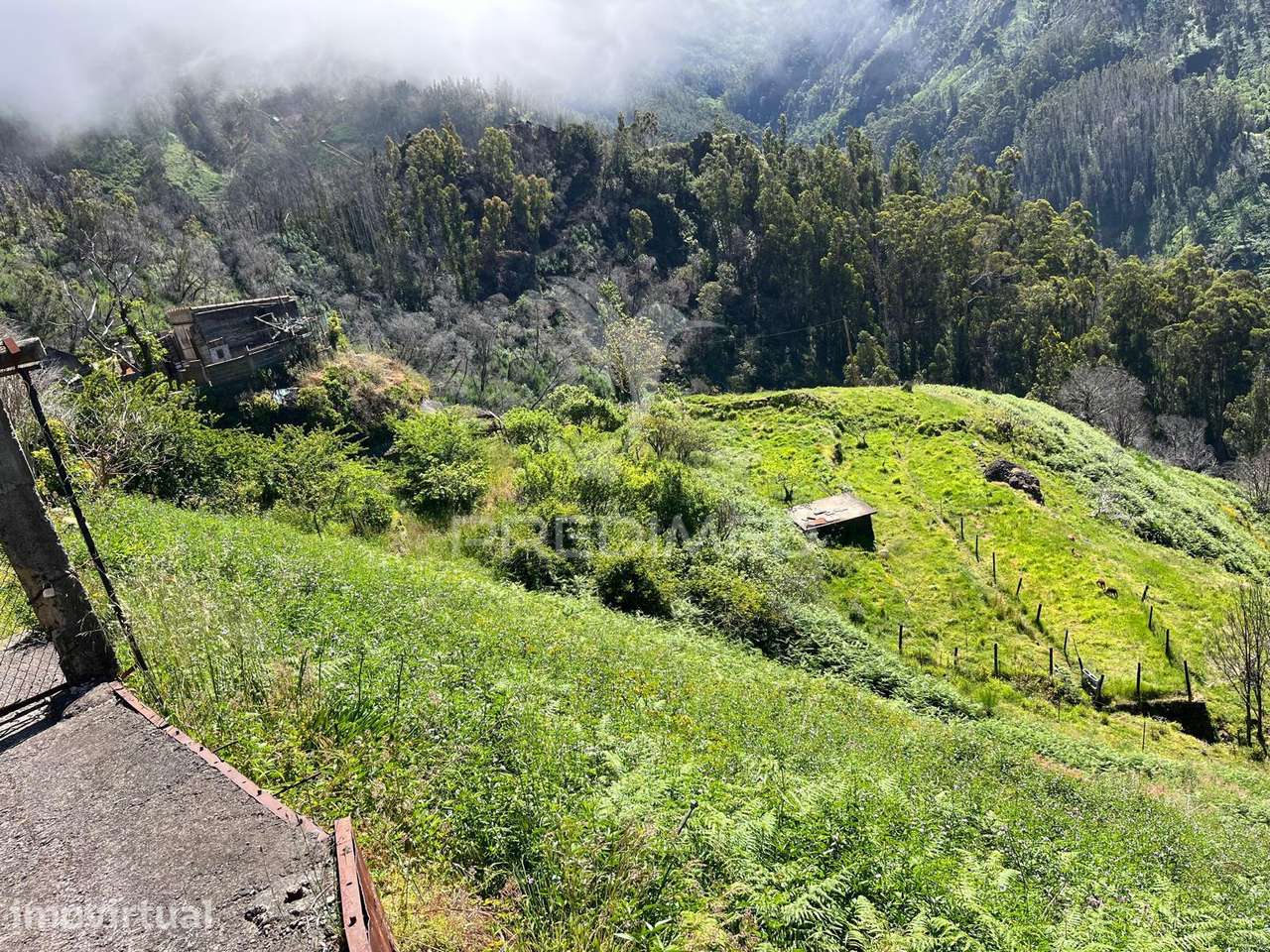 Terreno de Sonho na Serra de Água – 3.000 m² com 2 palheiros de Nat... - Grande imagem: 2/8