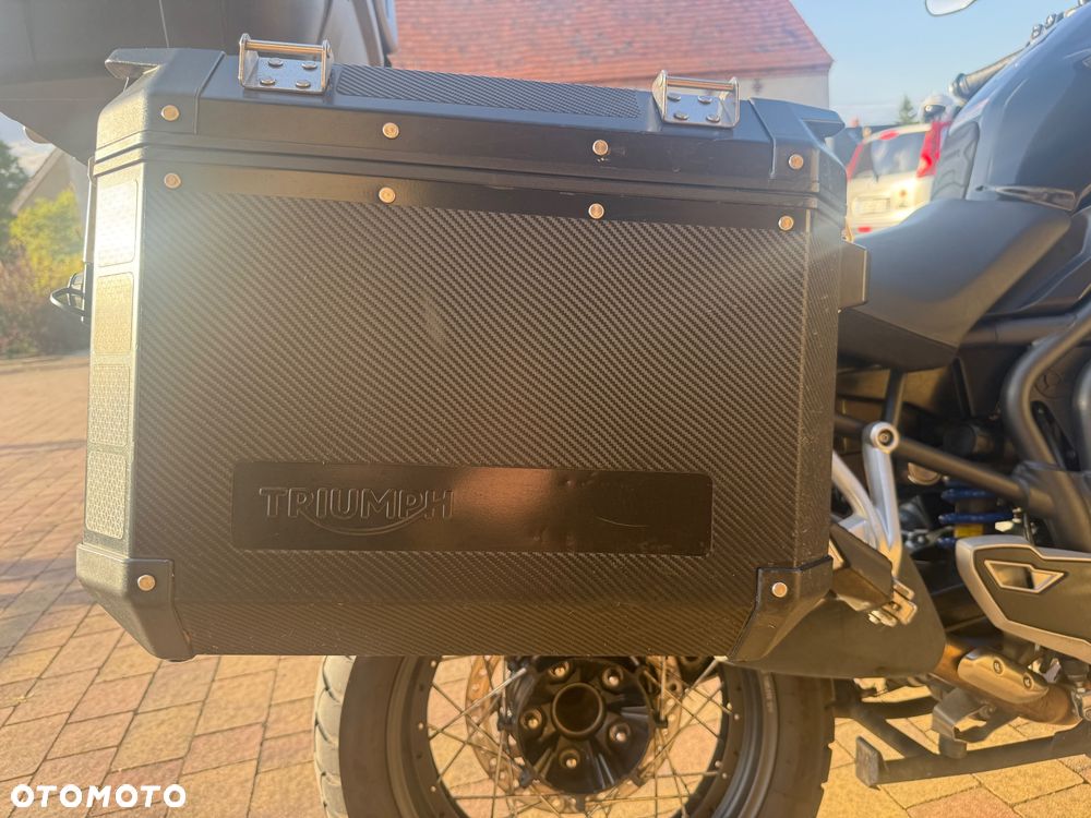 Triumph Tiger - 13