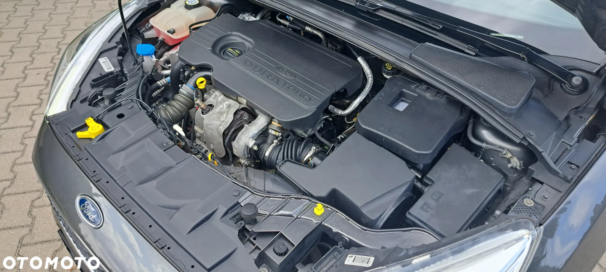 Ford Focus - 33