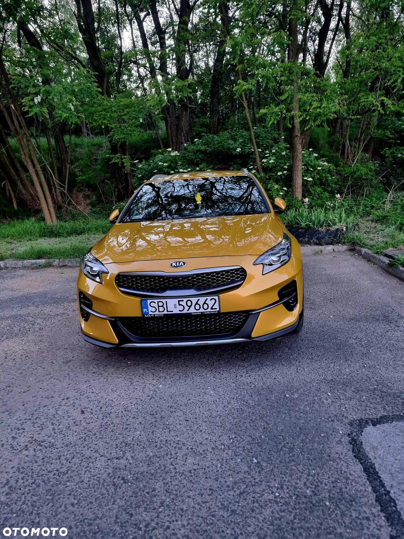 Kia XCeed 1.4 T-GDI L DCT - 10