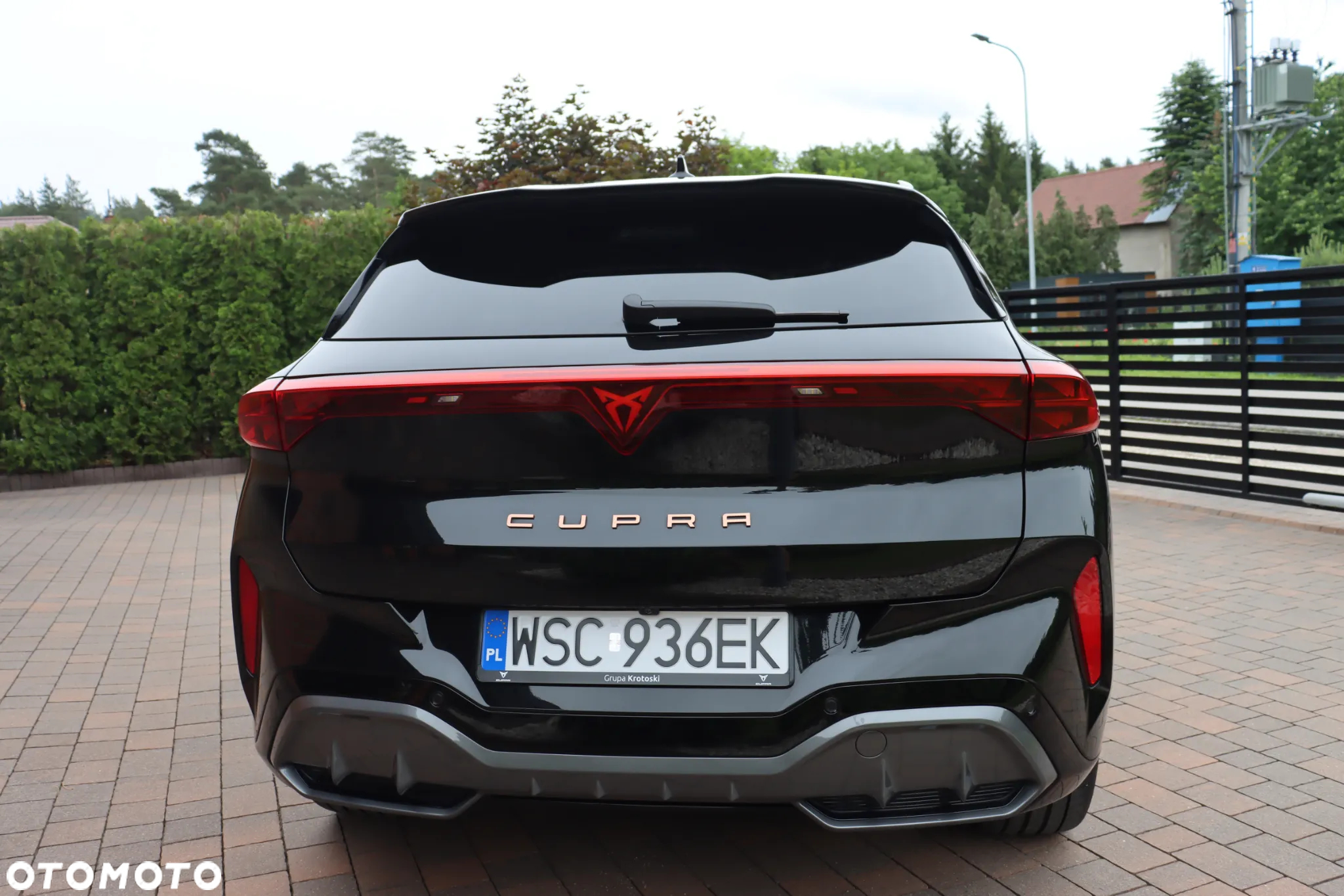 Cupra Terramar - 8