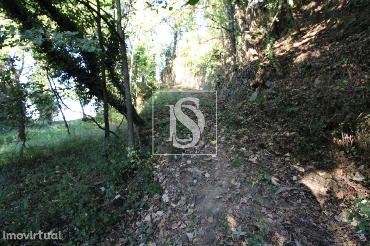 Terreno  Venda em Rebordelo,Amarante - Grande imagem: 3/3