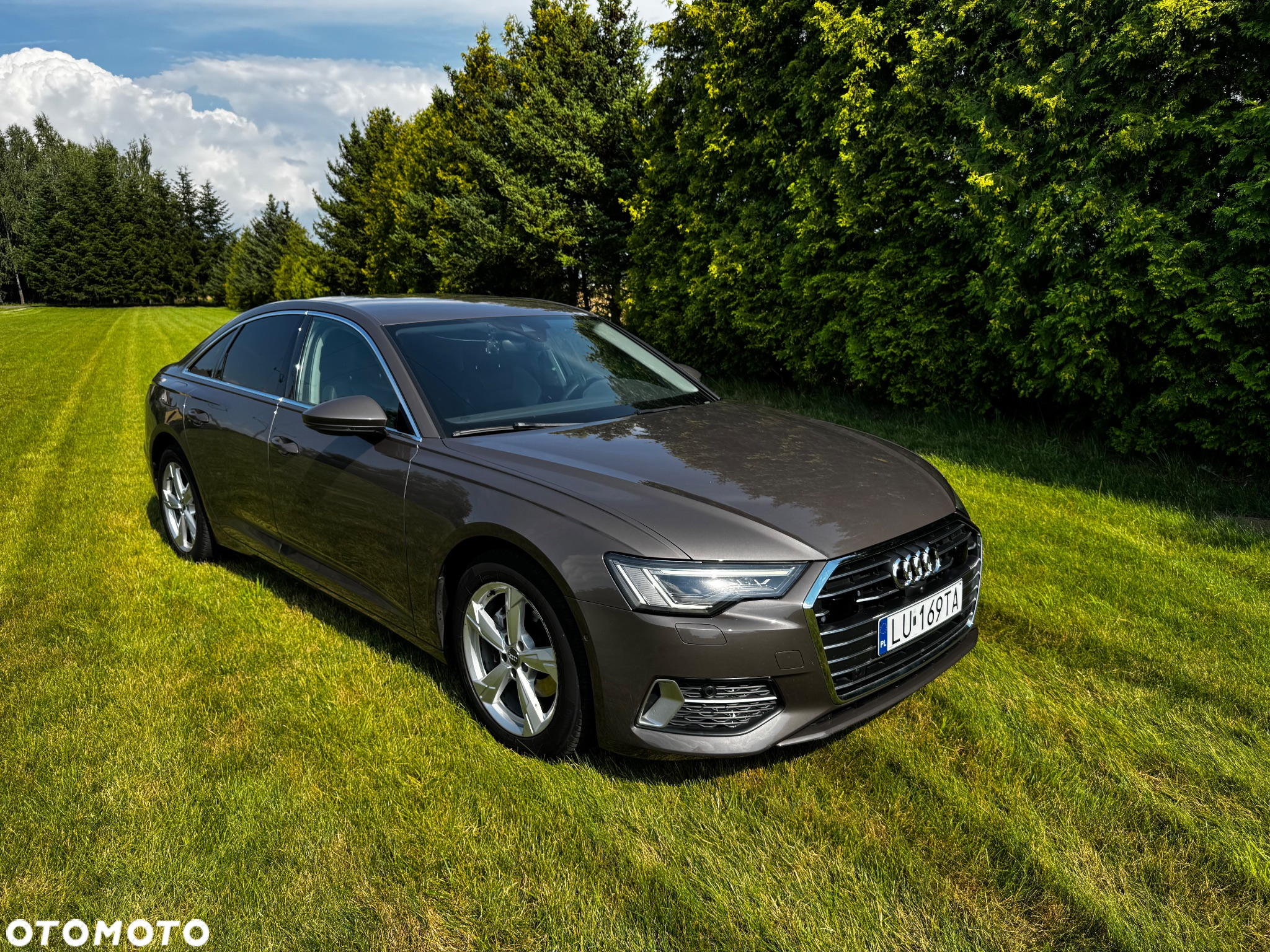 Audi A6 2.0 TDI ultra S tronic - 2