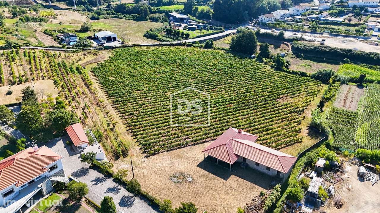Quinta T9 Venda em Penafiel,Penafiel - Grande imagem: 3/60