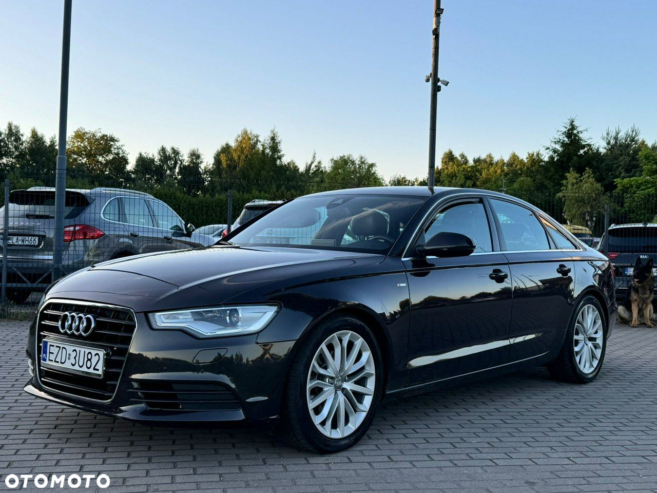 Audi A6 - 11
