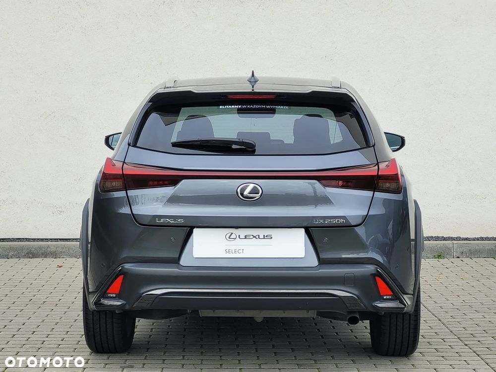 Lexus UX 250h GPF F Sport Design+ 2WD - 9
