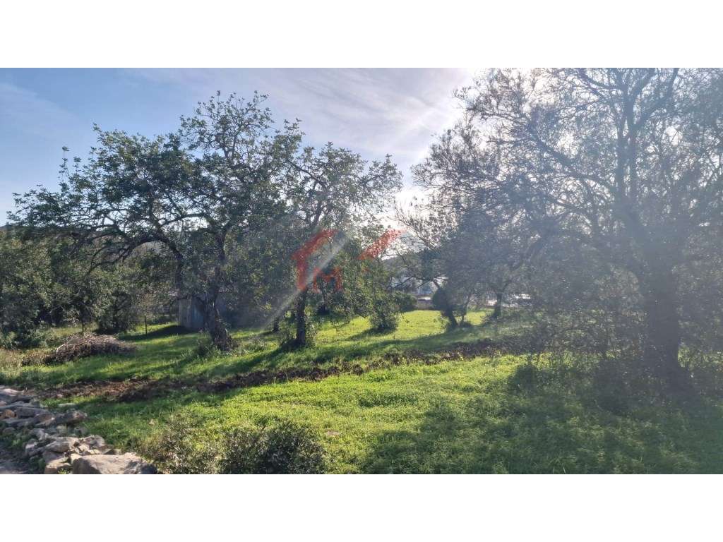 Terreno urbano para construção - São Brás de Alportel - Grande imagem: 4/17