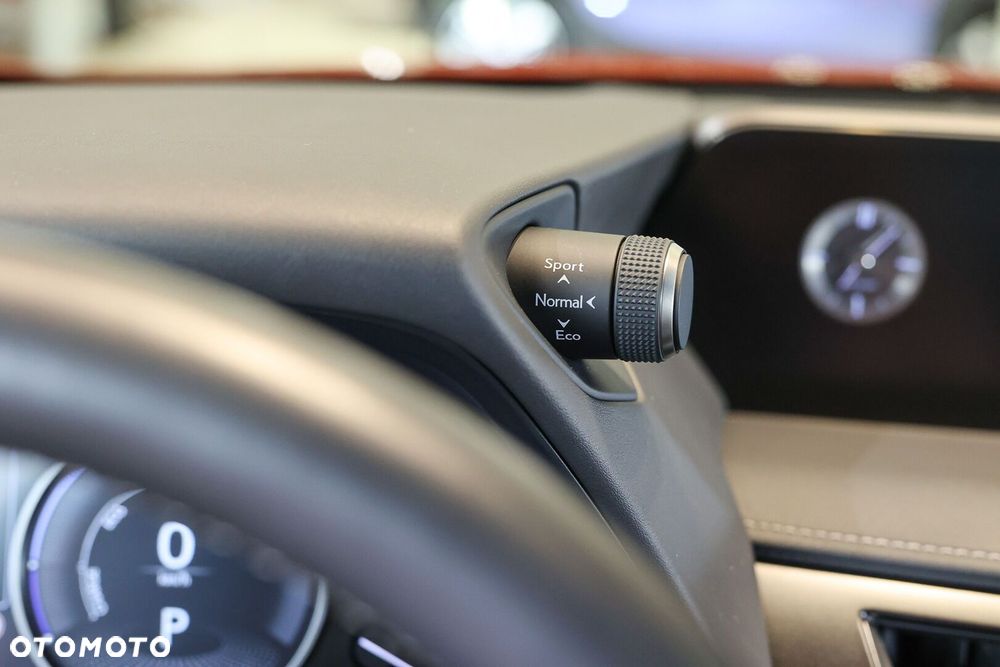 Lexus UX 250h GPF Business Edition 2WD - 39