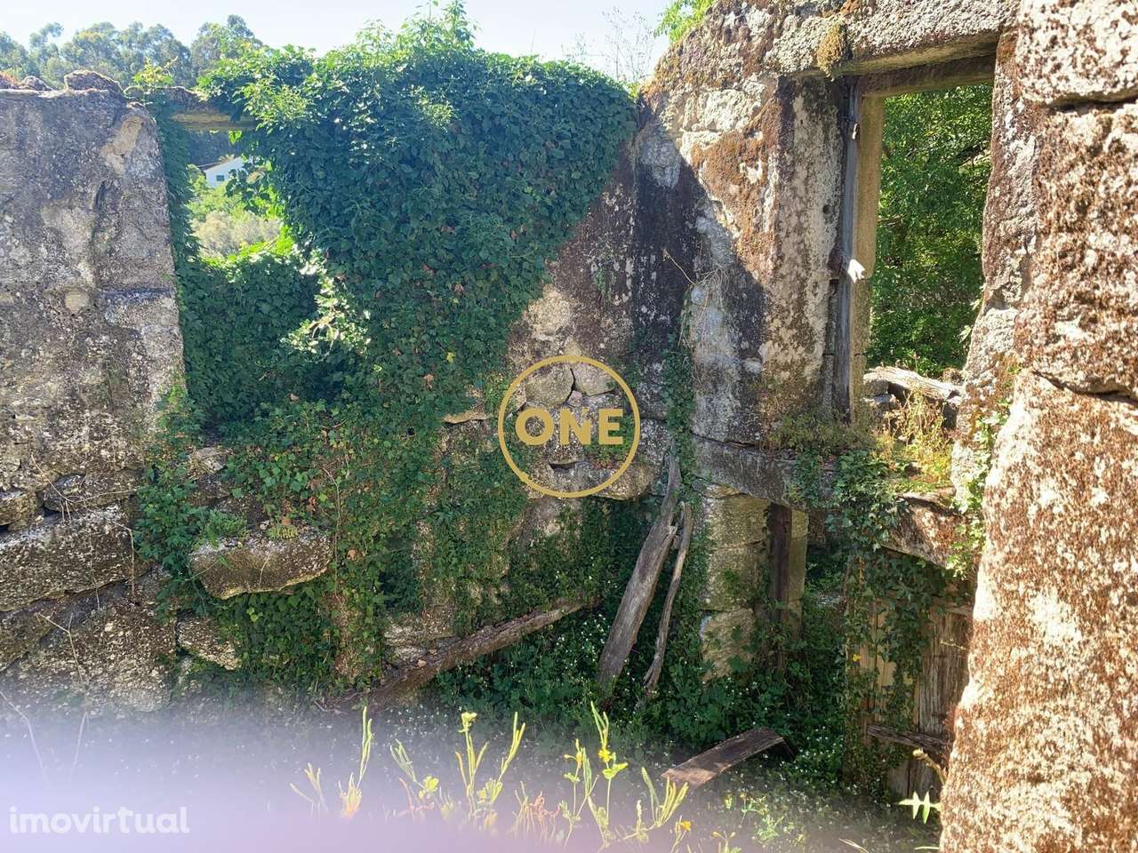 Moradia T2 em Ruina - Grande imagem: 3/11