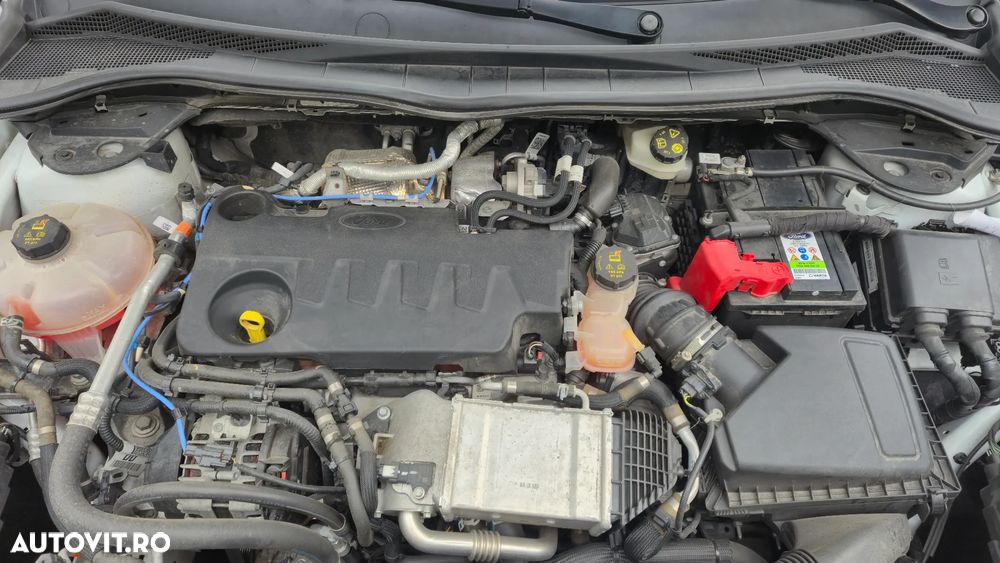 Ford Kuga 2.0 EcoBlue A8 AWD Titanium - 9