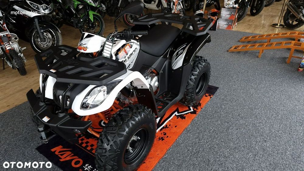 KAYO AU - 17