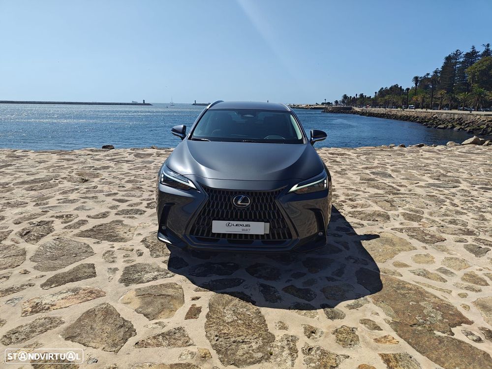 Lexus NX 450h+ Executive - 6