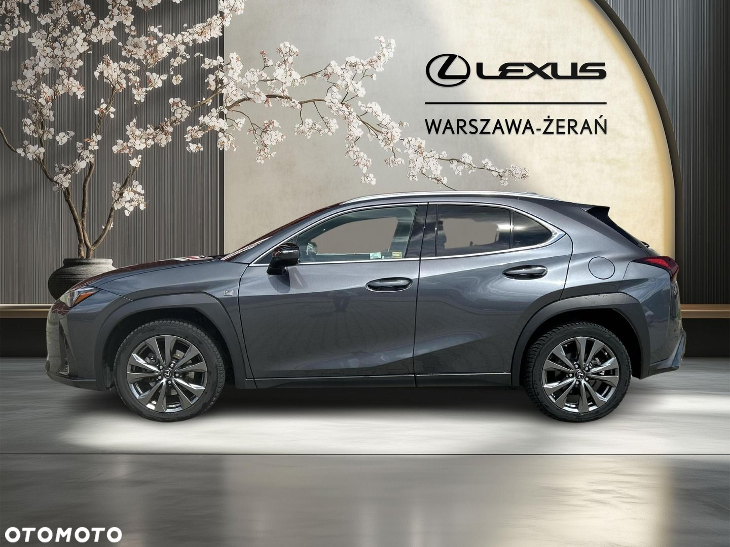 Lexus UX 250h GPF F Sport Design 2WD - 4
