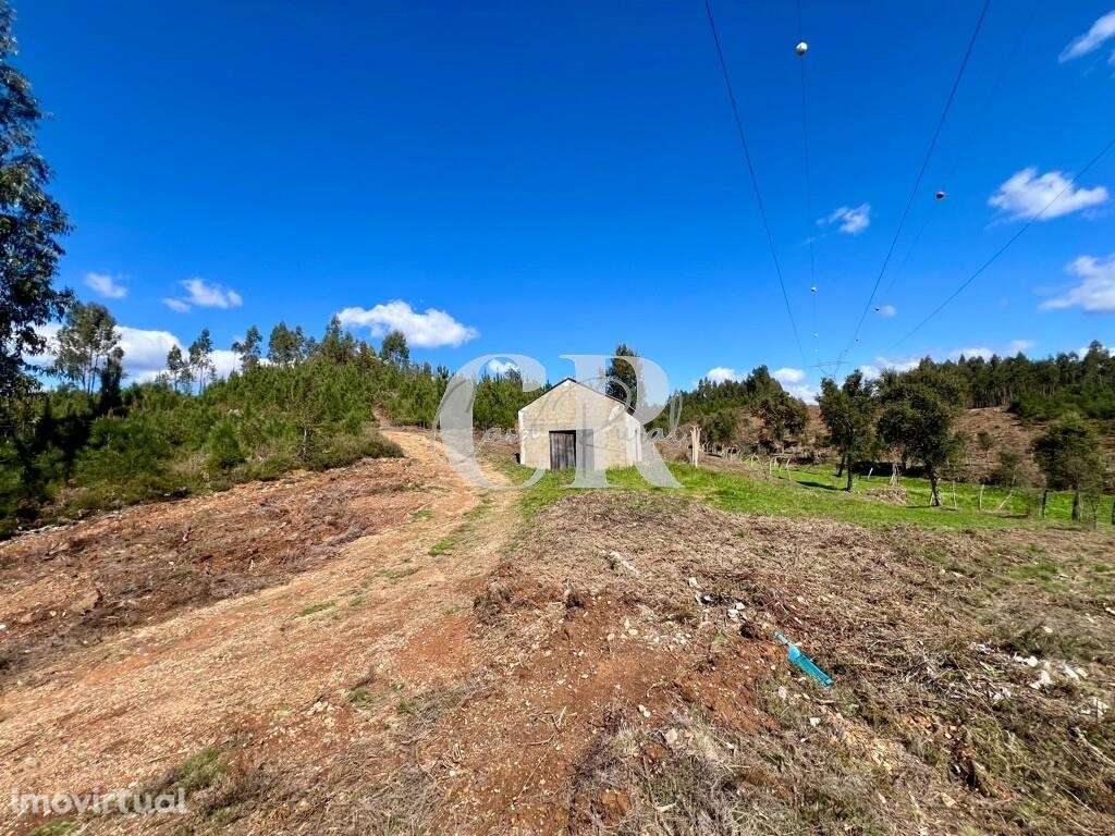 Imóvel rural com 1.8 ha, casa e poço - Grande imagem: 3/40