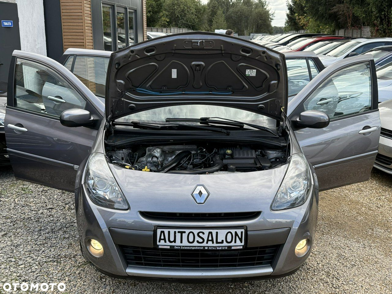 Renault Clio - 29