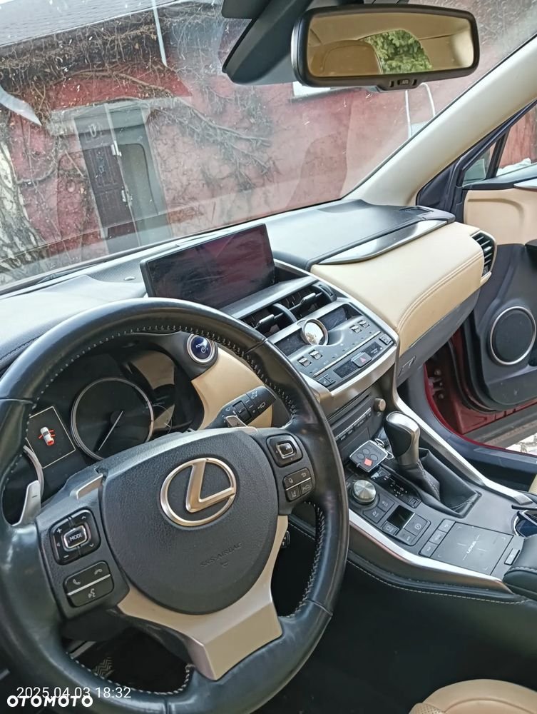 Lexus NX ver-300h-business-edition-awd - 29
