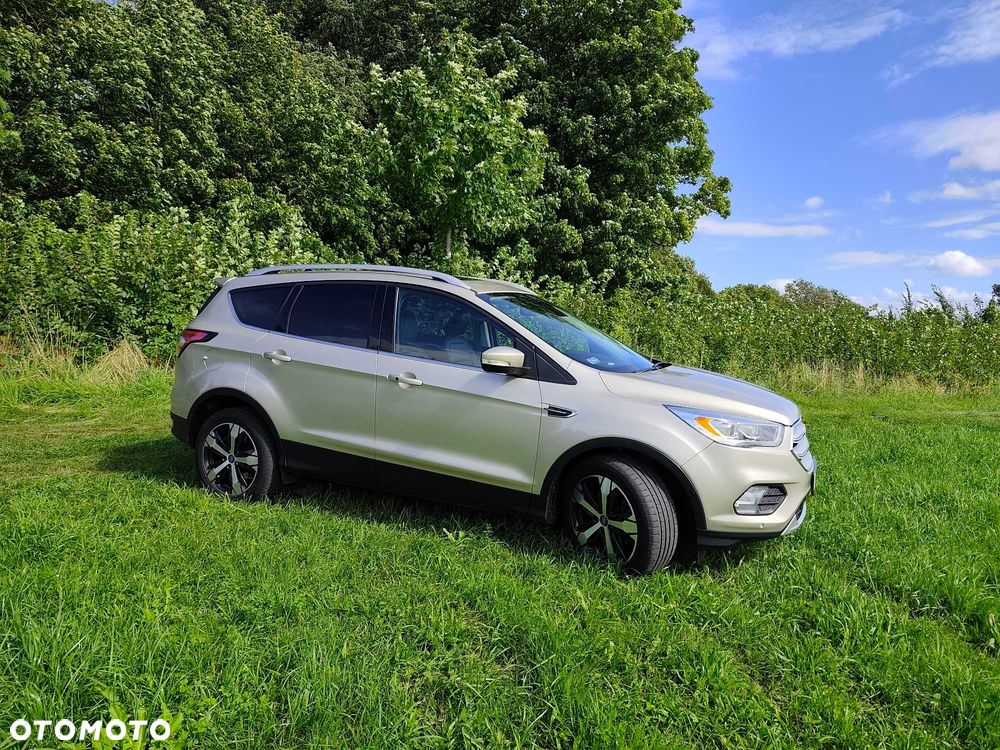 Ford Escape - 6