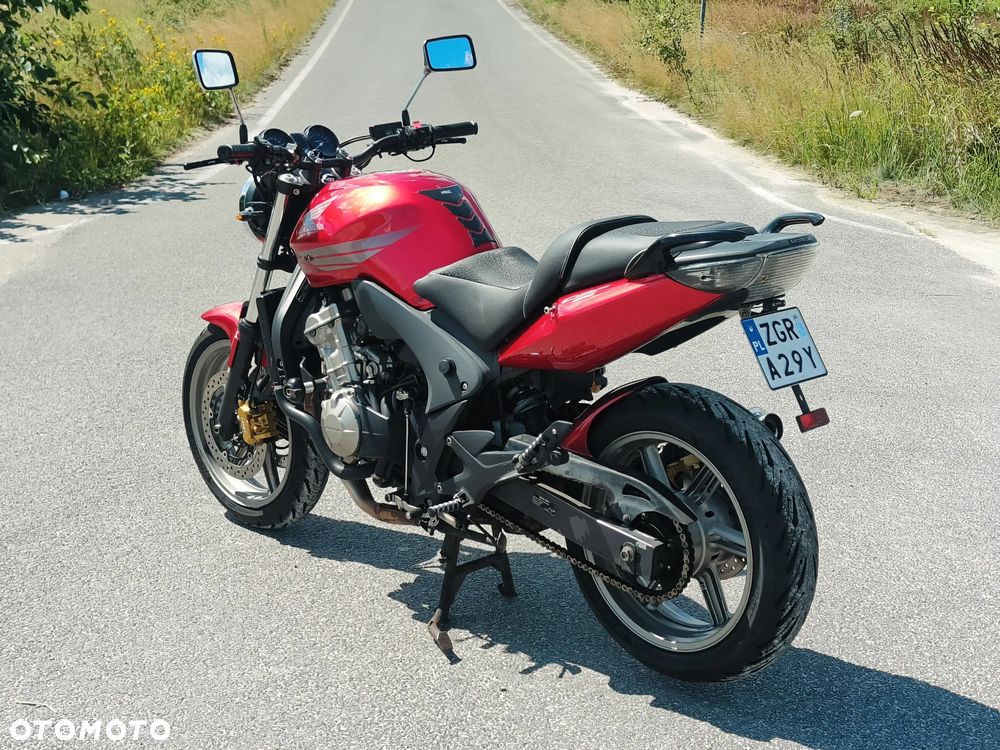 Honda CBF - 5