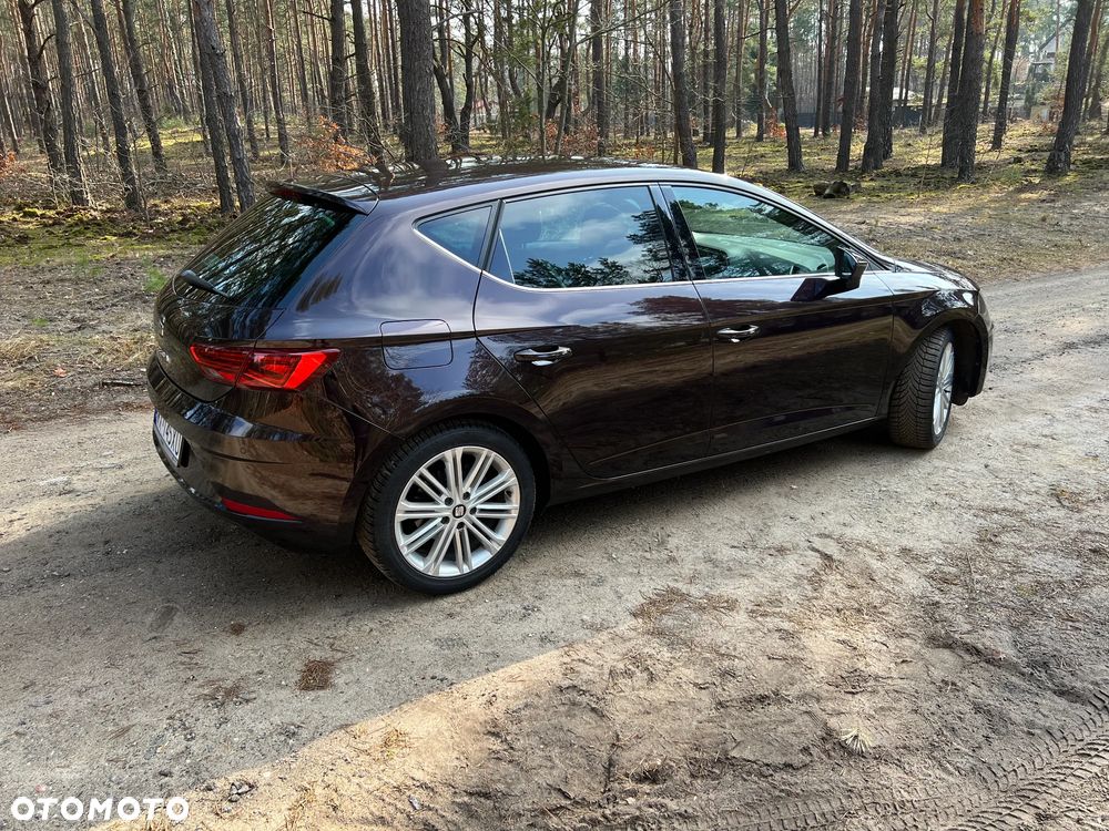 Seat Leon 1.5 EcoTSI Evo Xcellence S&S - 6