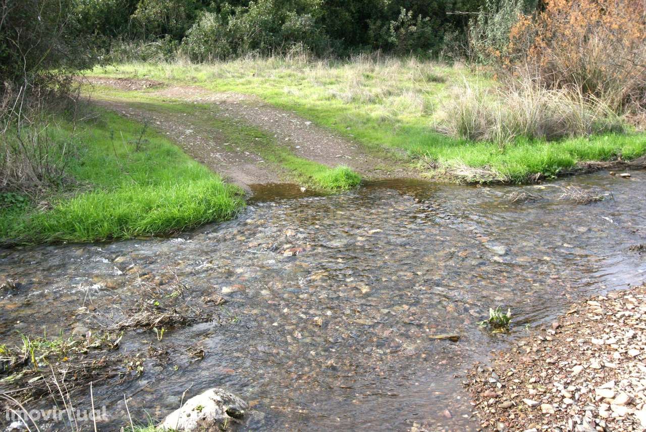 Amplo terreno rústico com sobreiros maduros em Vale Fontes de Baixo, S - Grande imagem: 3/14