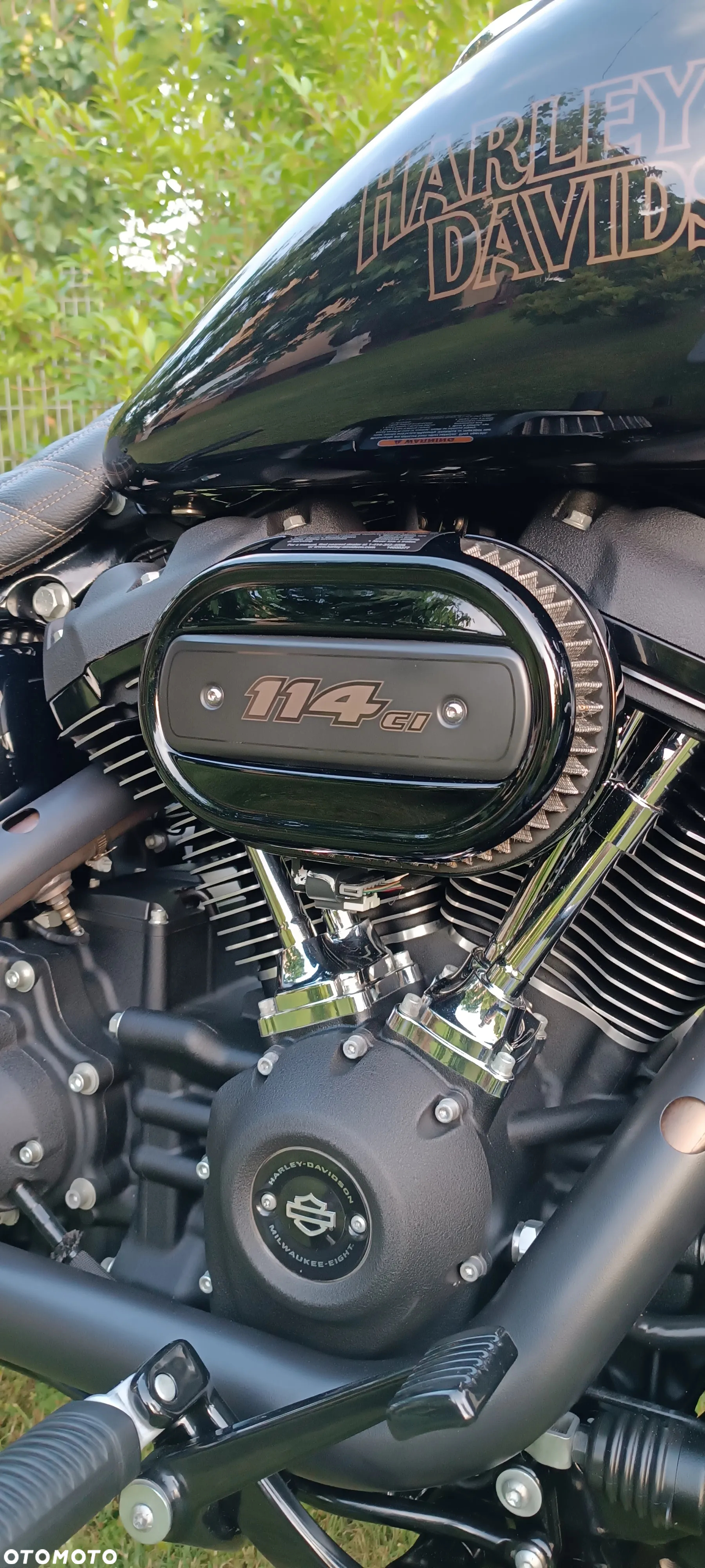 Harley-Davidson Softail Low Rider - 7