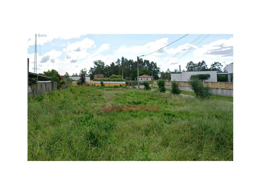 Terreno Plano Ideal para moradia - Águeda - Grande imagem: 3/4