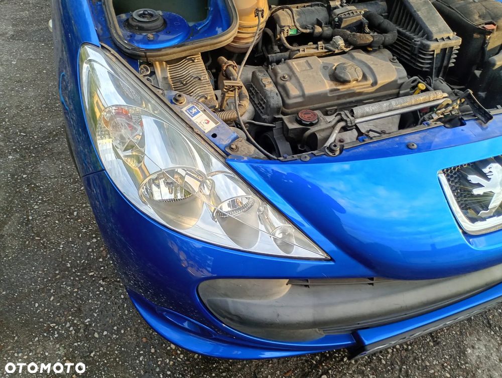 Peugeot 206 - 19