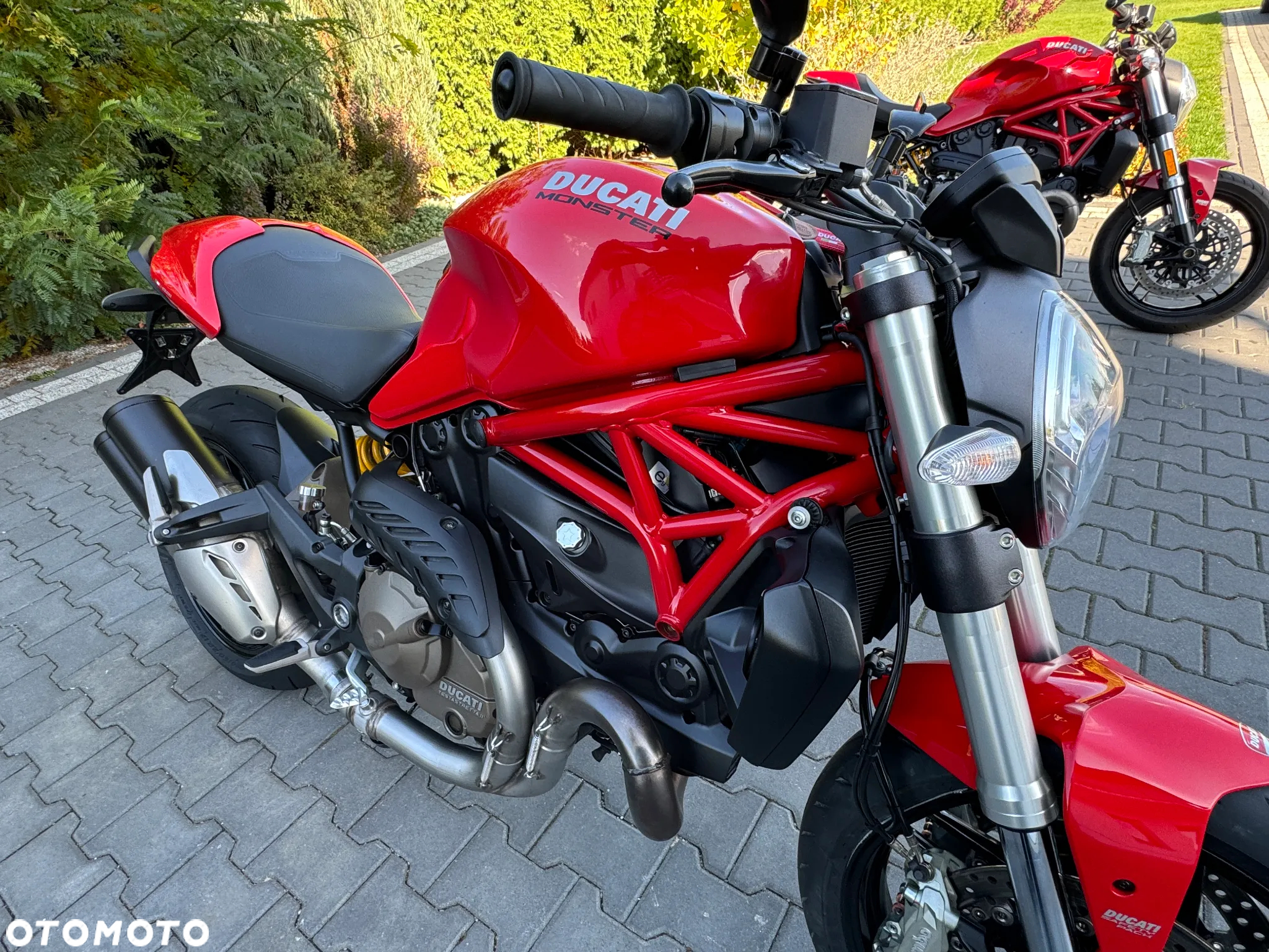 Ducati Monster - 19