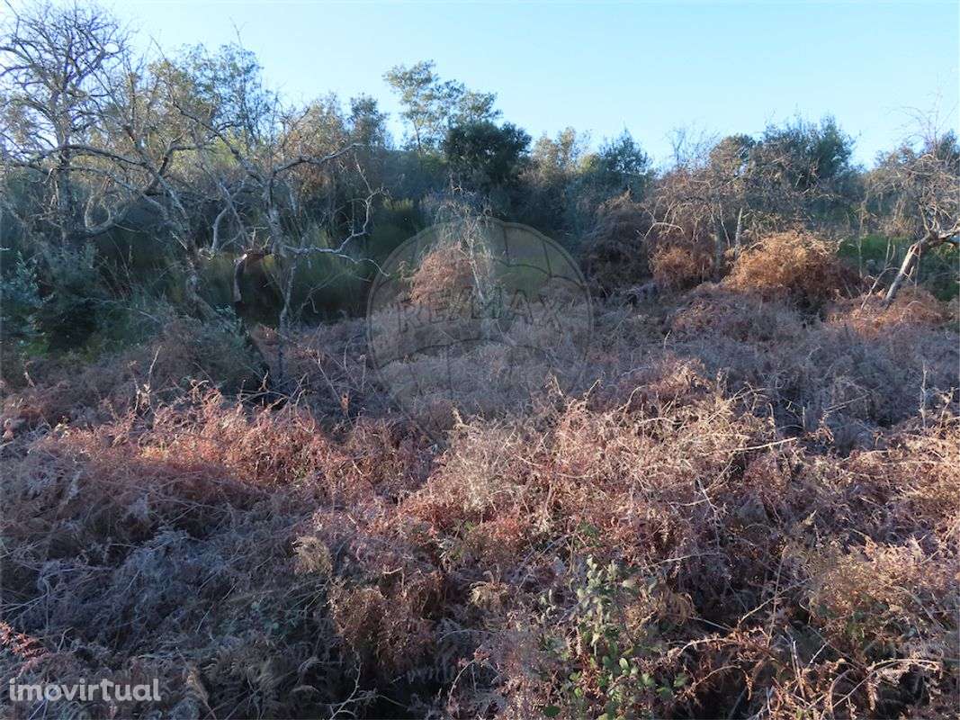 Quinta  para venda - Grande imagem: 2/7