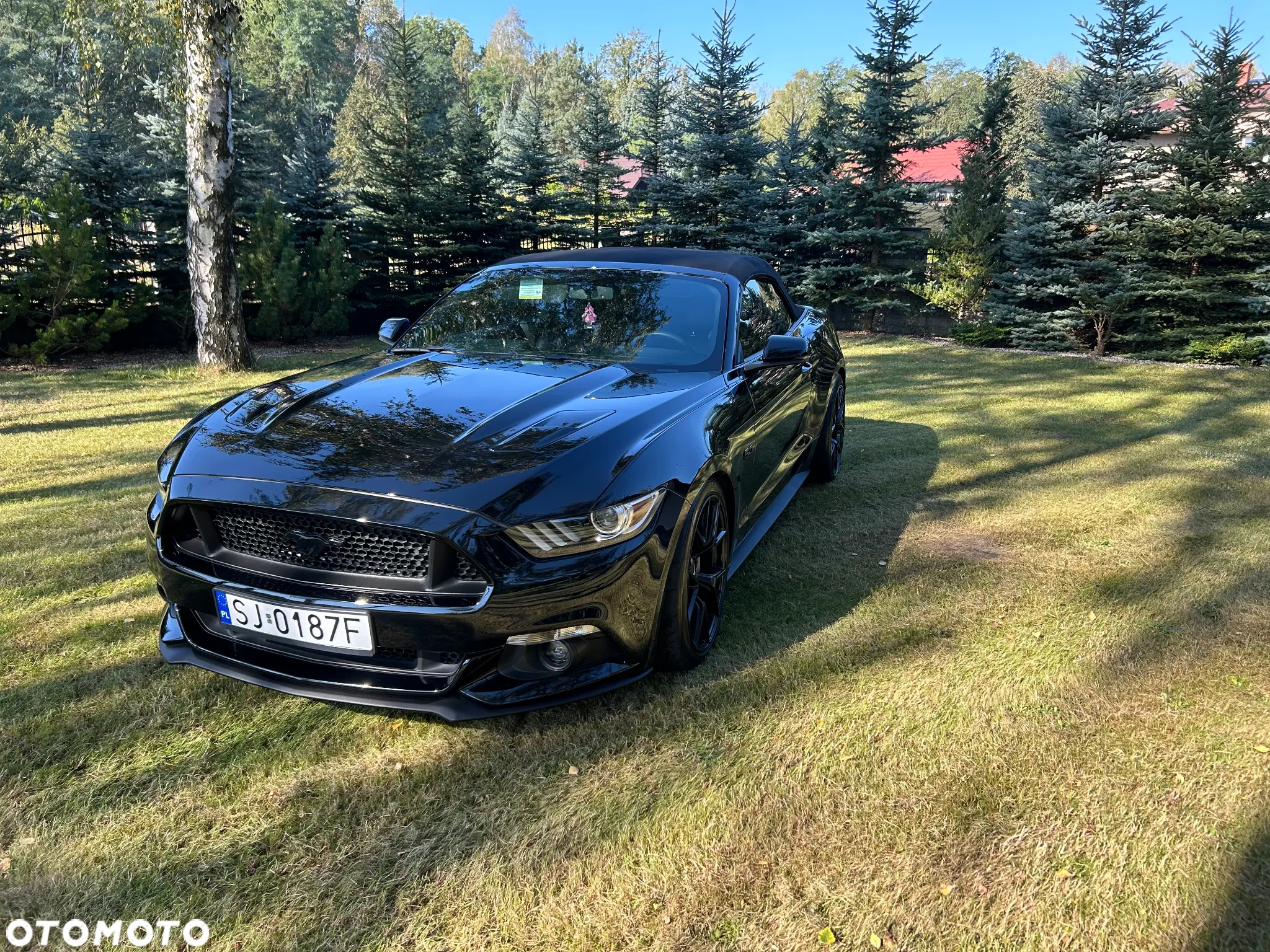 Ford Mustang - 7
